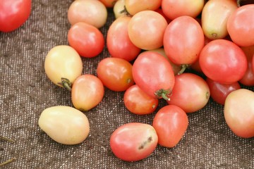 tomatoes in the market