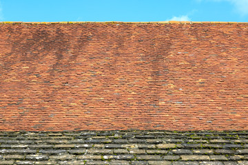 An Old Roof