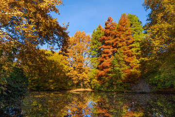 Obraz premium Autumn Landscape. Park in Autumn