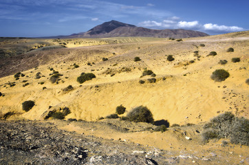 Lanzarote