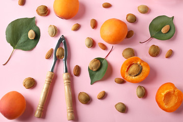 Composition with apricots, kernels and nutcracker tool on color background