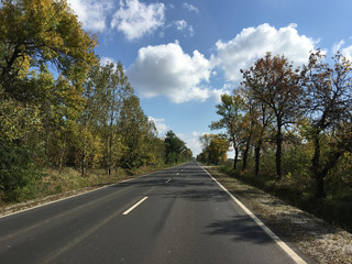 Obraz premium Driving during autumn