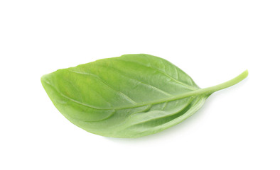 One leaf of green fresh organic basil isolated on white