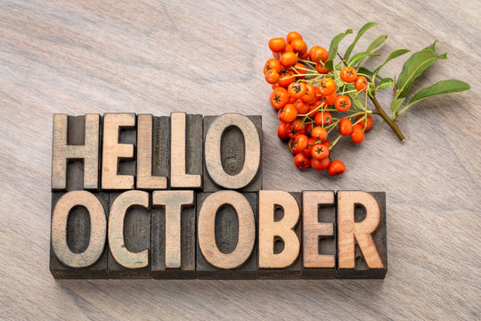 hello October word greeting card