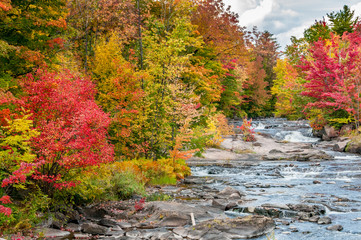 a river flows in a forest full of red maple trees and yellow birches in the heart of the Quebec...