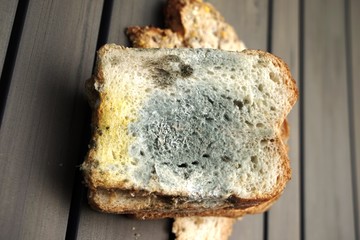 ..............Essen, Nahrung, Brot, Schimmel, verdorben