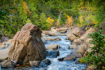 Mountain torrent in the Autumn Colors: Devil River among the pines and birches on the slopes of Mount Albert in the Gaspé Peninsula of Quebec