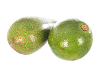 Avocado isolated on a white background