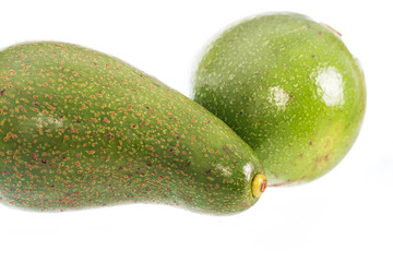 Avocado isolated on a white background