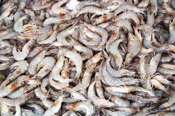 Shrimp in the fresh market