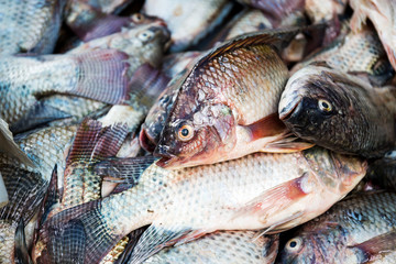 Tilapia fish in Thailand local market