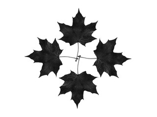 Autumn falling leaves