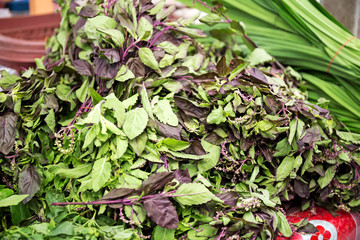 Basil leaves in the market.