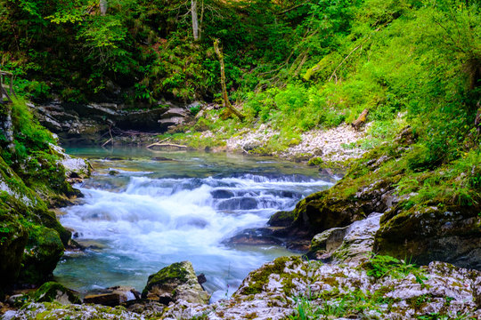 Waterfall at Soteska vintgar, Slovenia (The Vintgar Gorge or Bled Gorge)