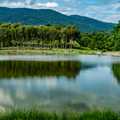 Mountain trees and green lake