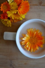 Milk tea with a calendula flower
