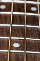 Acoustic Bass Guitar Fretboard Close Up