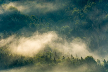 Wschód słońca ,Jaworzyna Krynicka,Beskid Sądecki. © Adam Olszowski