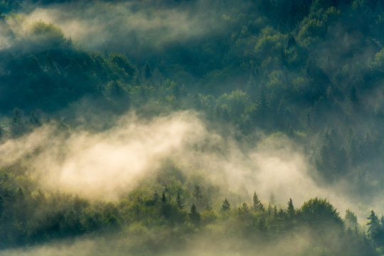 Fototapeta Wschód słońca ,Jaworzyna Krynicka,Beskid Sądecki.