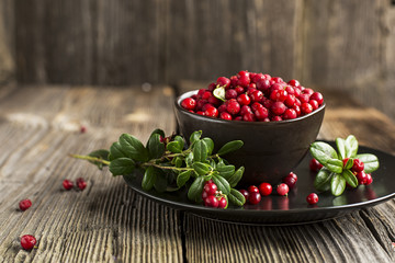 Fresh ripe forest northern cranberries or cowberry, lingonberry in ceramic cups of different size and color on a gray stone aged background for the concept of organic natural healthy food. Top View.