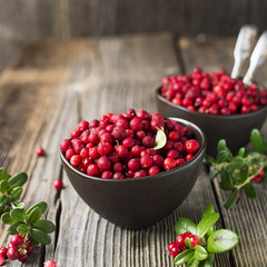 Fresh ripe forest northern cranberries or cowberry, lingonberry in ceramic cups of different size and color on a gray stone aged background for the concept of organic natural healthy food. Top View.