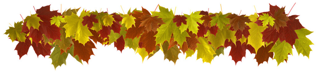 Autumn leaves border isolated on white background