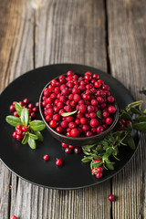 Fresh ripe forest northern cranberries or cowberry, lingonberry in ceramic cups of different size and color on a gray stone aged background for the concept of organic natural healthy food. Top View.