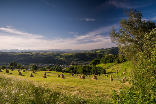 Sianokosy Rytro, Obłazy Ryterskie, Beskid Sądecki,małopolska