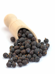 Wacholderbeeren, Wacholder, Juniperus