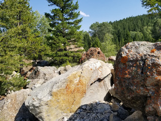 Boulder Field