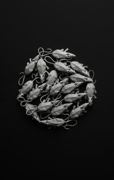 White rats/mouses on black background/toy replica