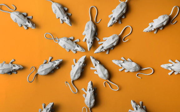 White rats/mouses on orange background.toy/replica