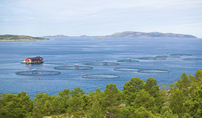 Fischfarm in Norwegen
