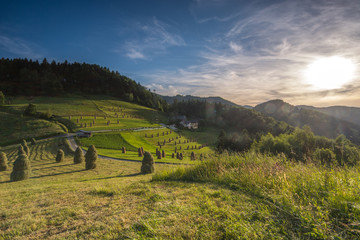 Obraz premium Sianokosy Rytro ,Obłazy Ryterskie,Mikołaska