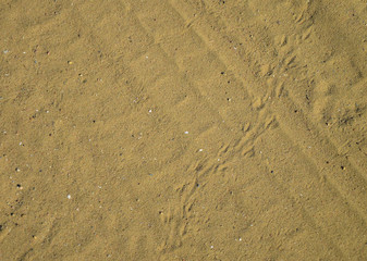sands