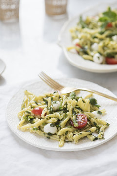 Gemelli pasta salad