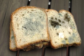 ..............Essen, Nahrung, Brot, Schimmel, verdorben