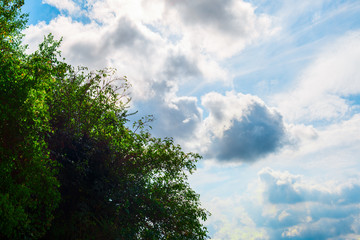 Obraz premium Clouds with green