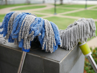 two dirty mobs sun bath from washing clean at outdoor park or garden.