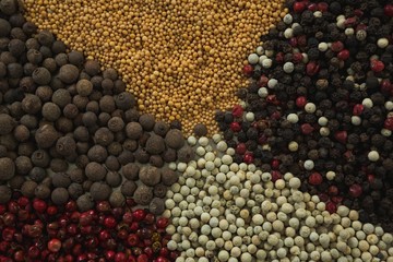 Various types of spices