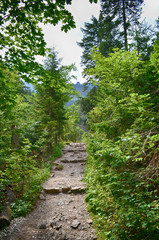 Tatra mountains zakopane 