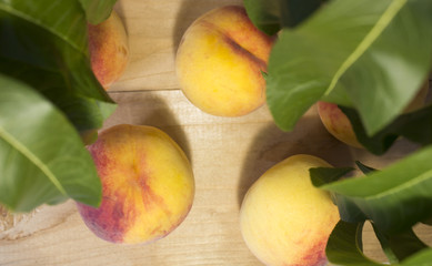 peaches on a brown background. Peaches with green leaves