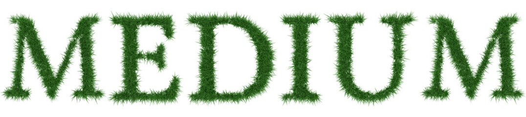 Medium - 3D rendering fresh Grass letters isolated on whhite background.