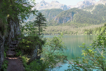 Fototapeta na wymiar Italy, Alto Adige: Reflection in the Tovel Lake.