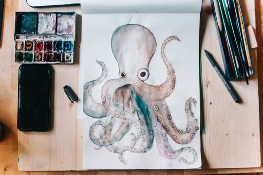 Octopus in watercolor