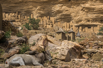 Thatched granaries in a partially abandoned Dogon village on the Bandiagara Escarpment in Mali