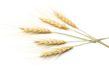 Fototapeta premium spikelets of wheat isolated on white background. top view