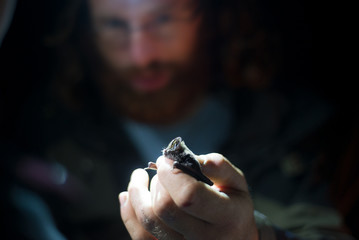 Male ornithologist examining a bat in hand in night, close-up