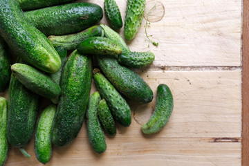 Freshly harvested pickling cucumbers on light wooden board from above. Space for text.
