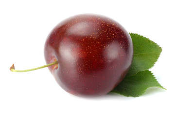 fresh plum fruit isolated on white background